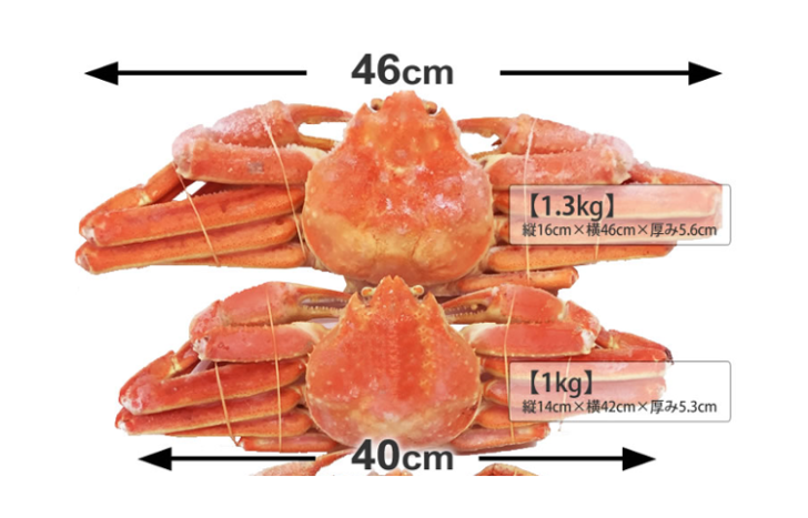 幻の超特大ズワイガニ姿】を食べてみたい！購入できる通販はどこ？ | カニ通販比較.com